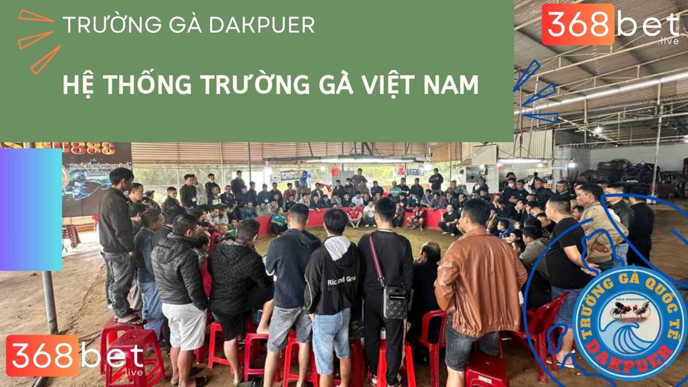 trực tiếp đá gà c1 dakpuer 888