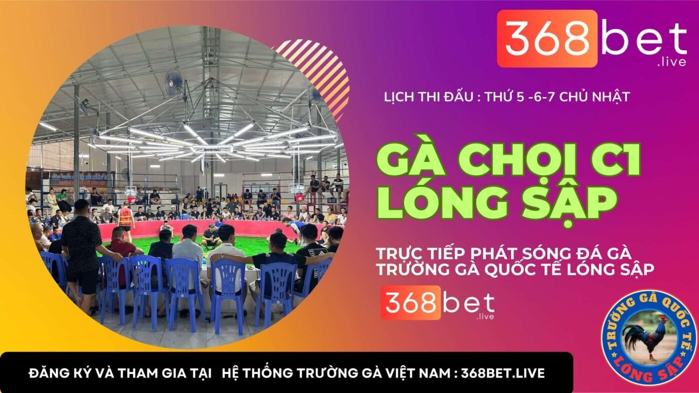 gà chọi c1 trường gà lóng sập