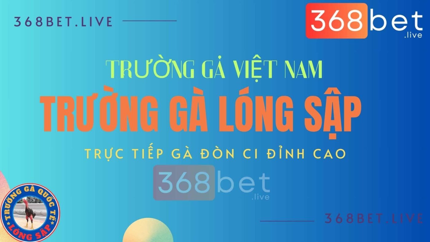 hệ thống đá gà c1