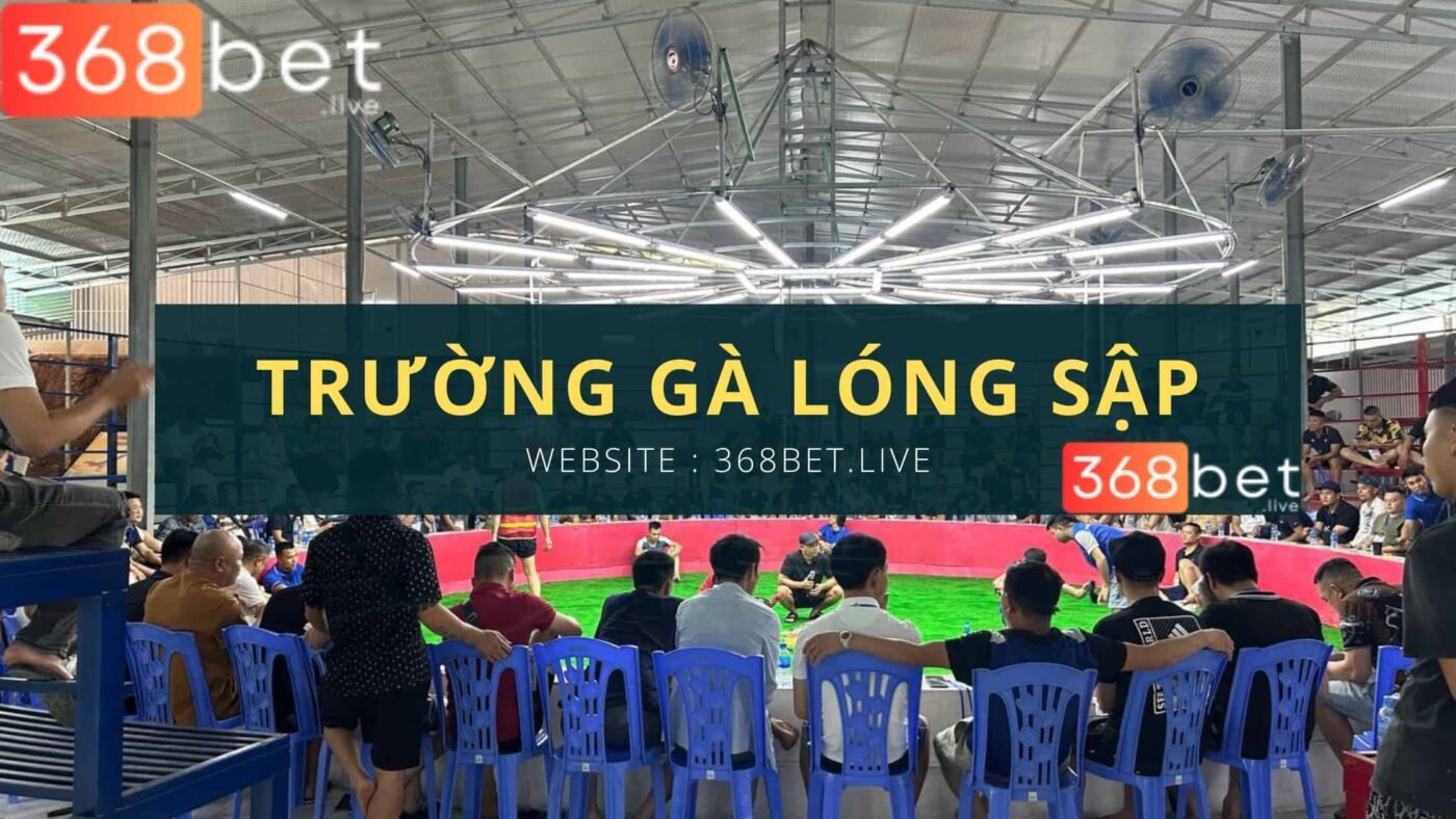 trường gà lóng sập 