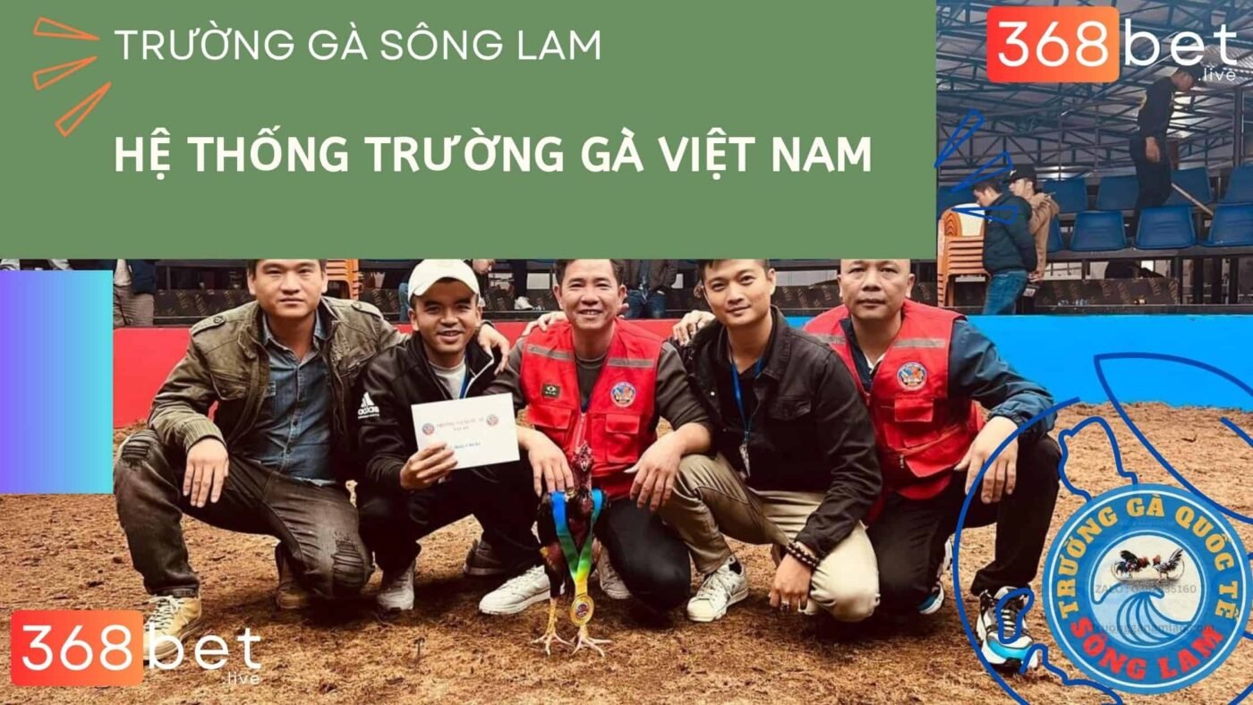 tặng cúp c1 đá gà