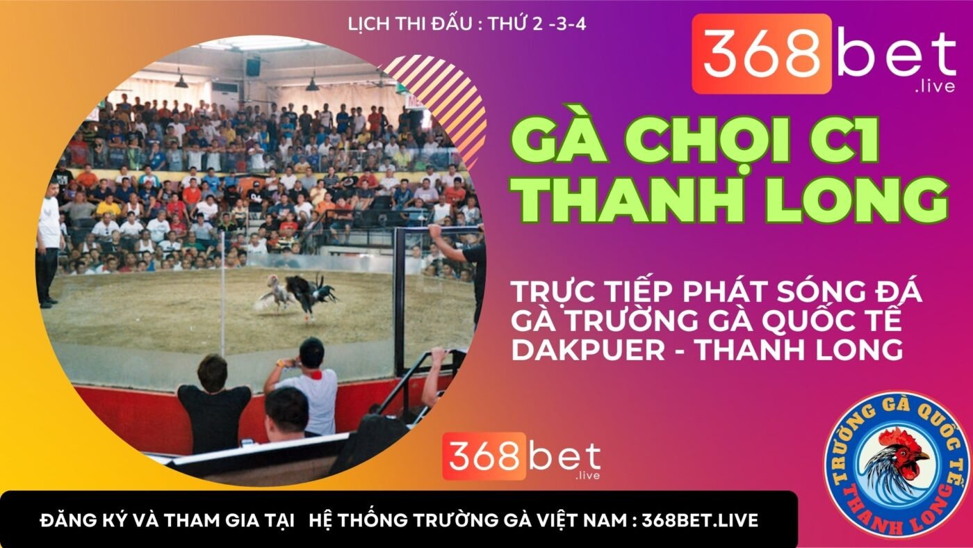 trường gà chọi c1 thanh long dakpuer 888