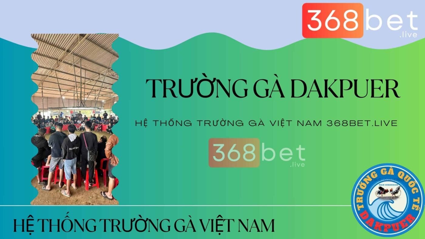 Trường Gà DAKPUER 888 TRỰC TIẾP ĐÁ GÀ C1 TRƯỜNG GÀ DAKPUER