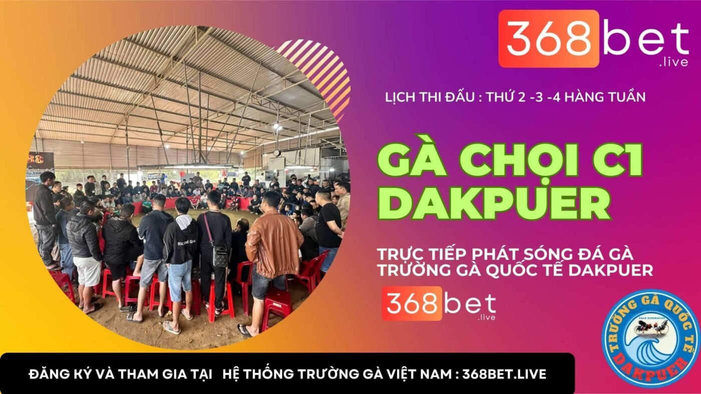 cập nhật lịch gà chọi dakpuer mỗi tuần