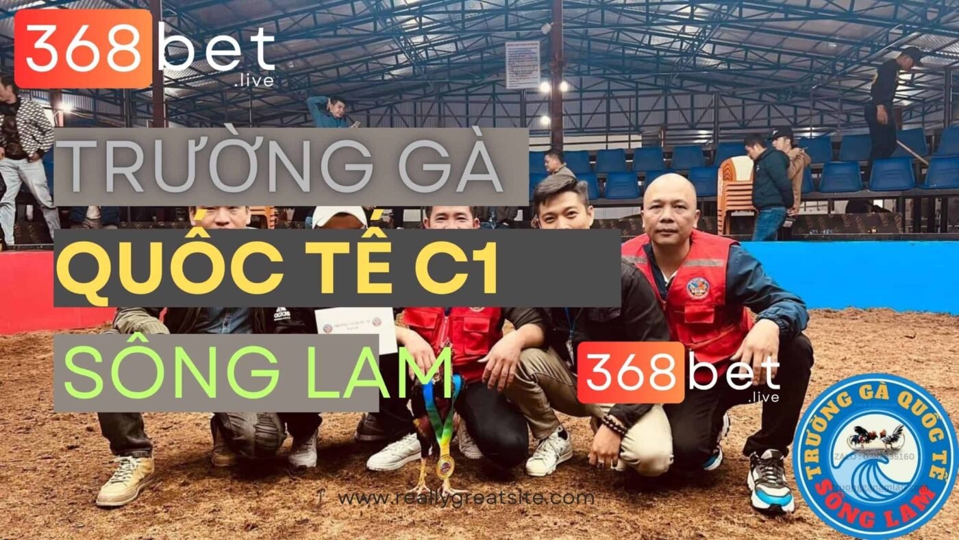 trường gà c1 